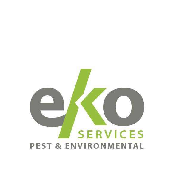 Eko Services