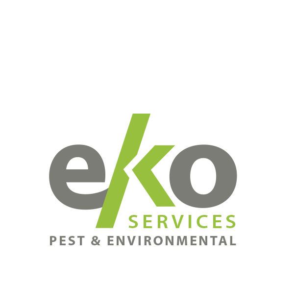 Eko Services